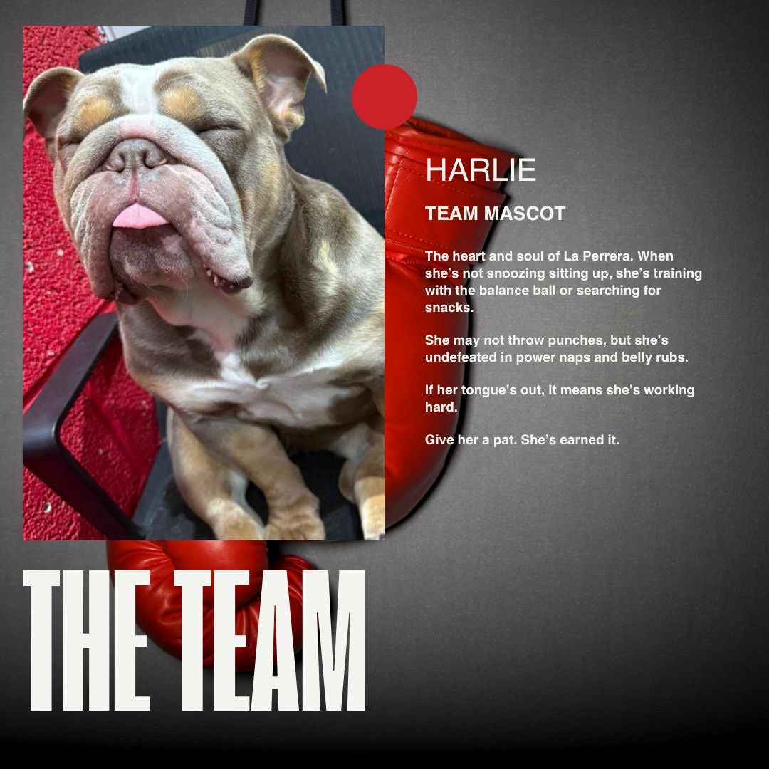 Team Member 5